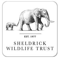 The Sheldrick Wildlife Trust (Kenya)