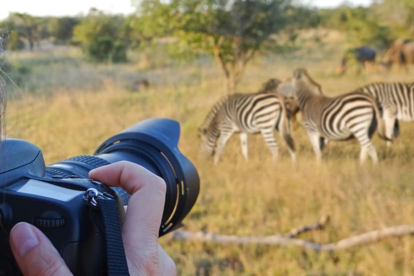 Copy of Photographer on safari with zebras