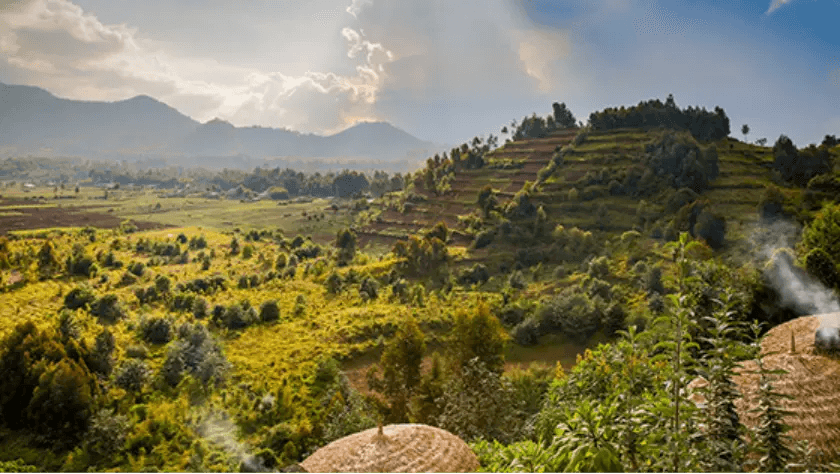 Bwindi National Park