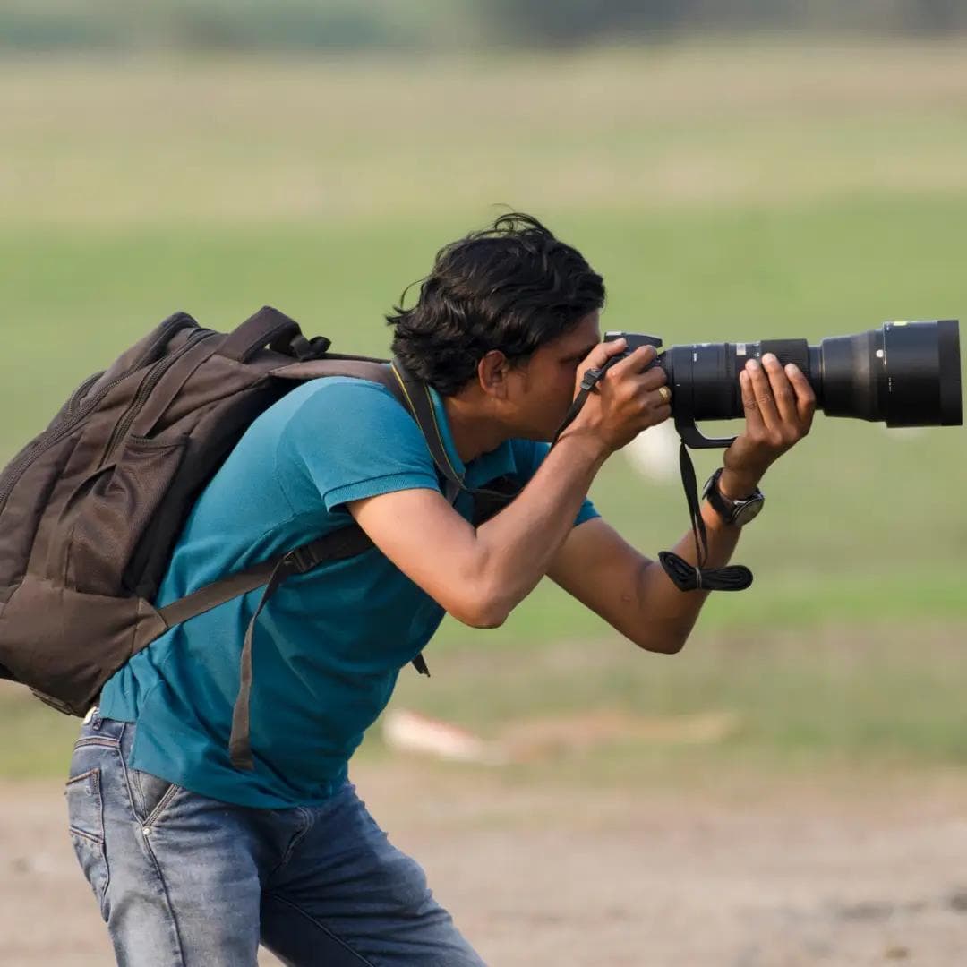 a camera with a big zoom lens aimed at wildlife