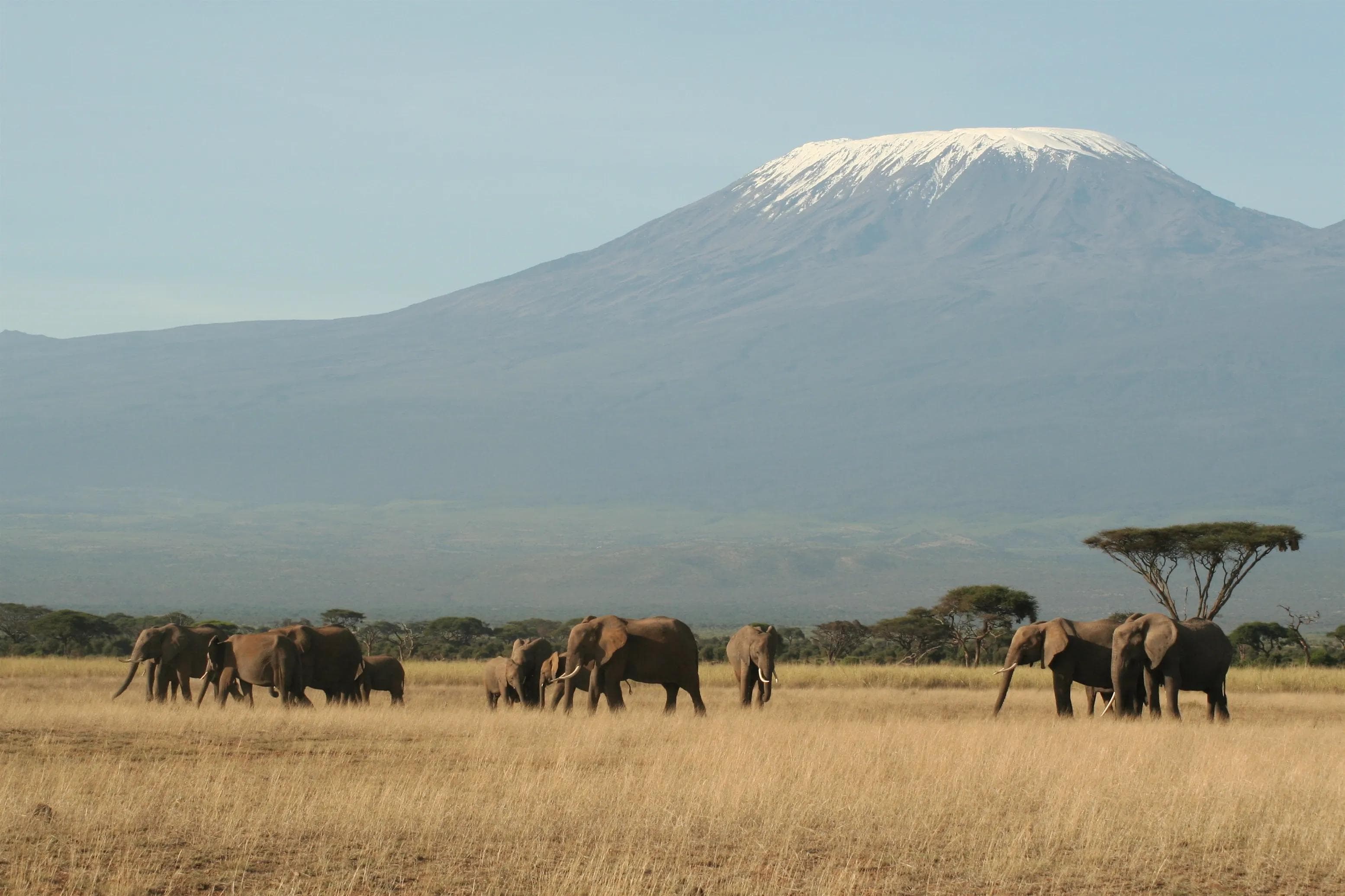 Mt. Kilimanjaro (Tanzania)