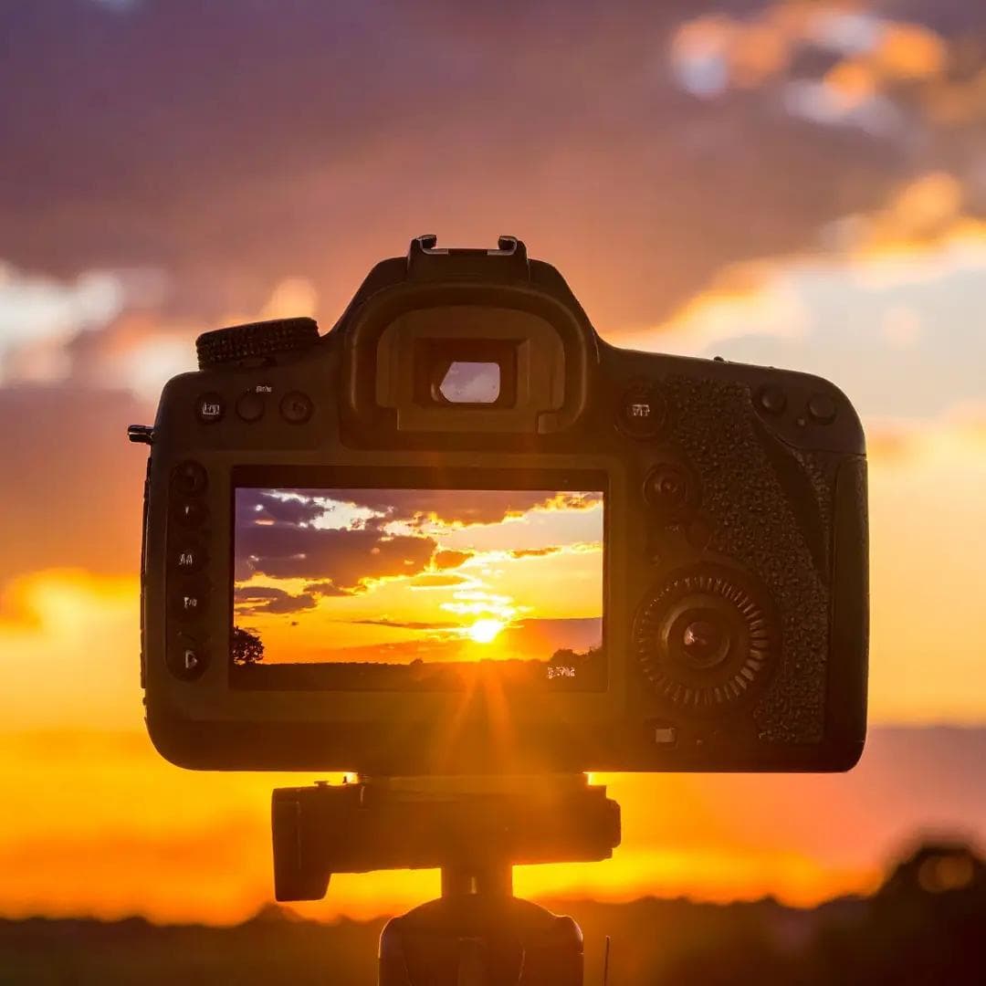 camera, tripod setup in nature