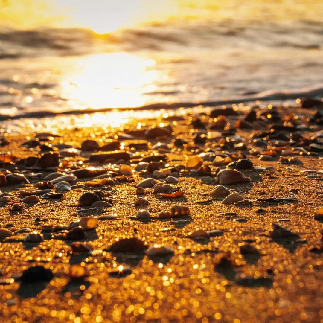 dramatic composition / framing