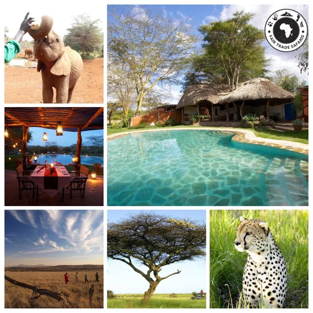 South Africa Wilderness