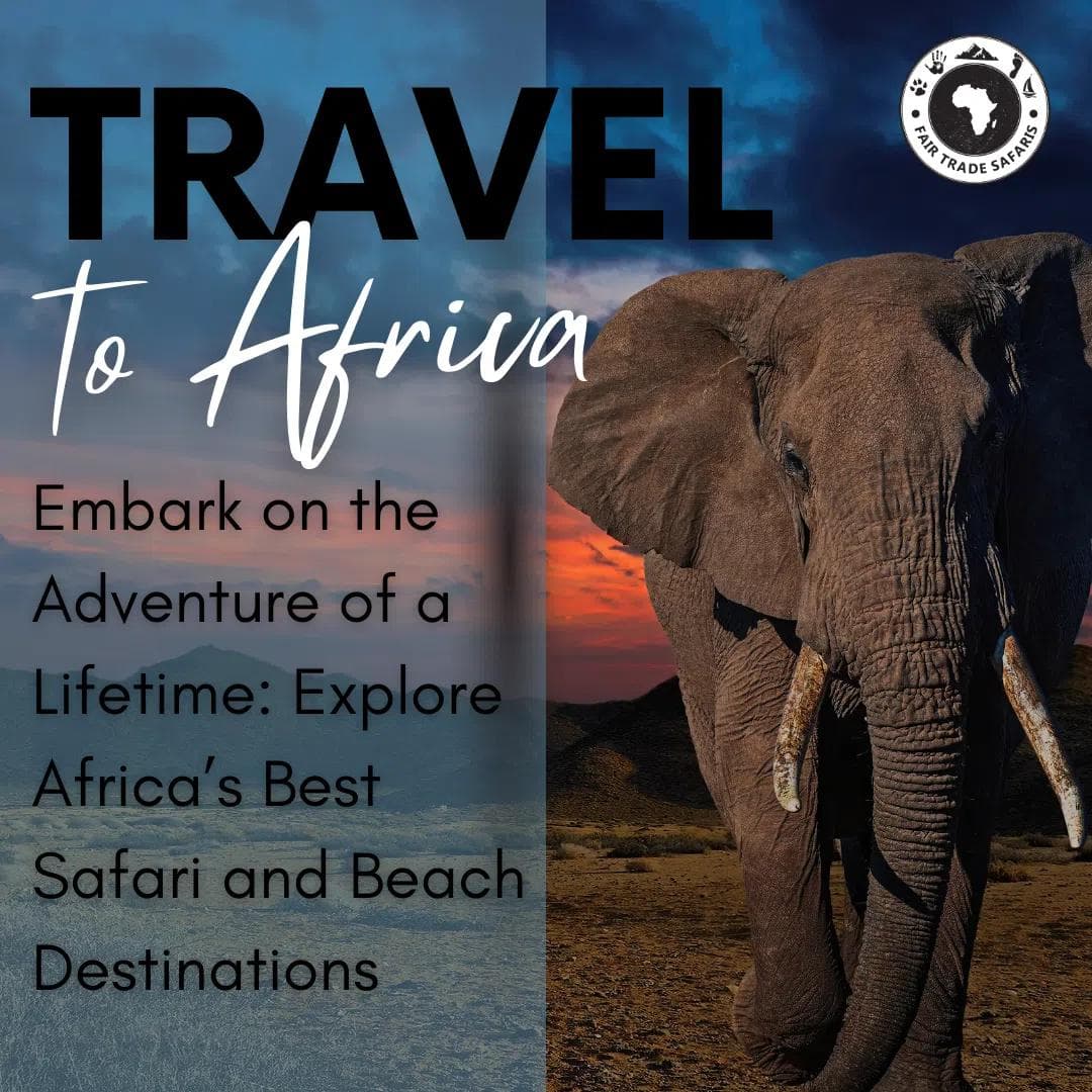 Safari. Sea. The Ultimate African Escape.