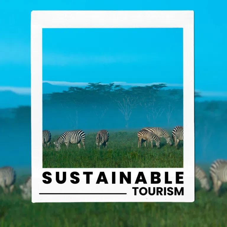 Sustainable Tourism