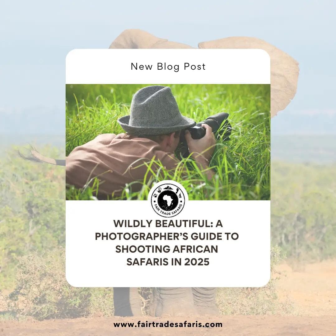 A Photographer’s Guide