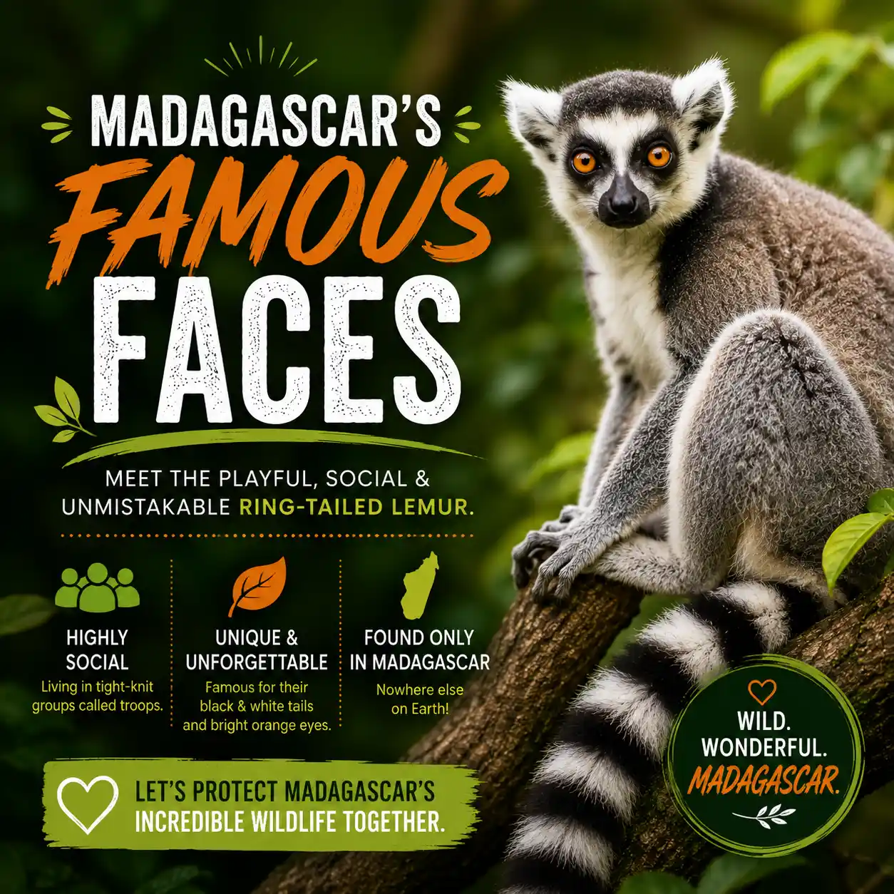 Madagascar’s Weird & Wonderful Wildlife